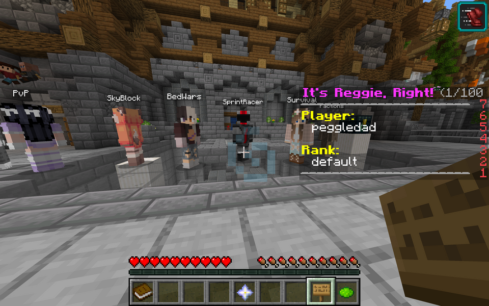 New Minecraft Server